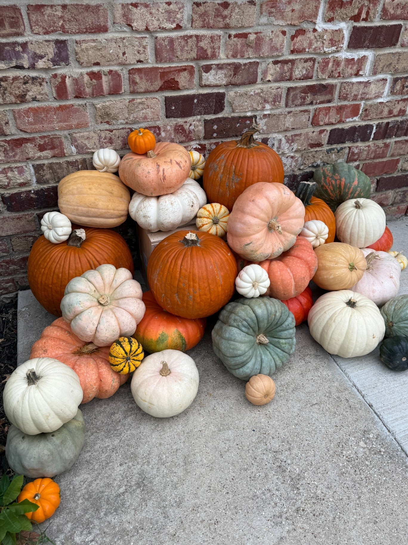 An abundant Fairy Tale Porches pumpkin installation against a brick exterior