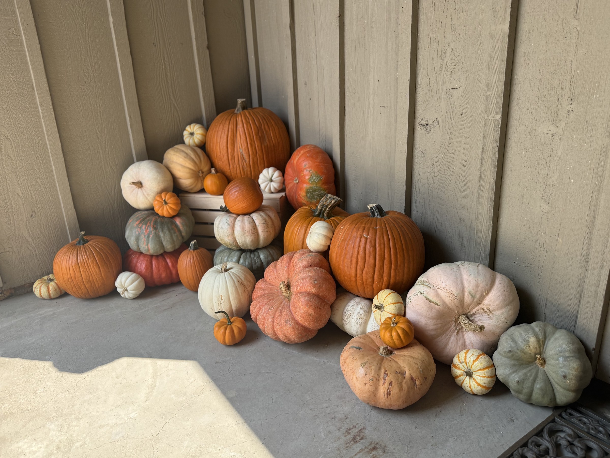 A collected pumpkin arrangement styled by Fairy Tale Porches in a porch corner