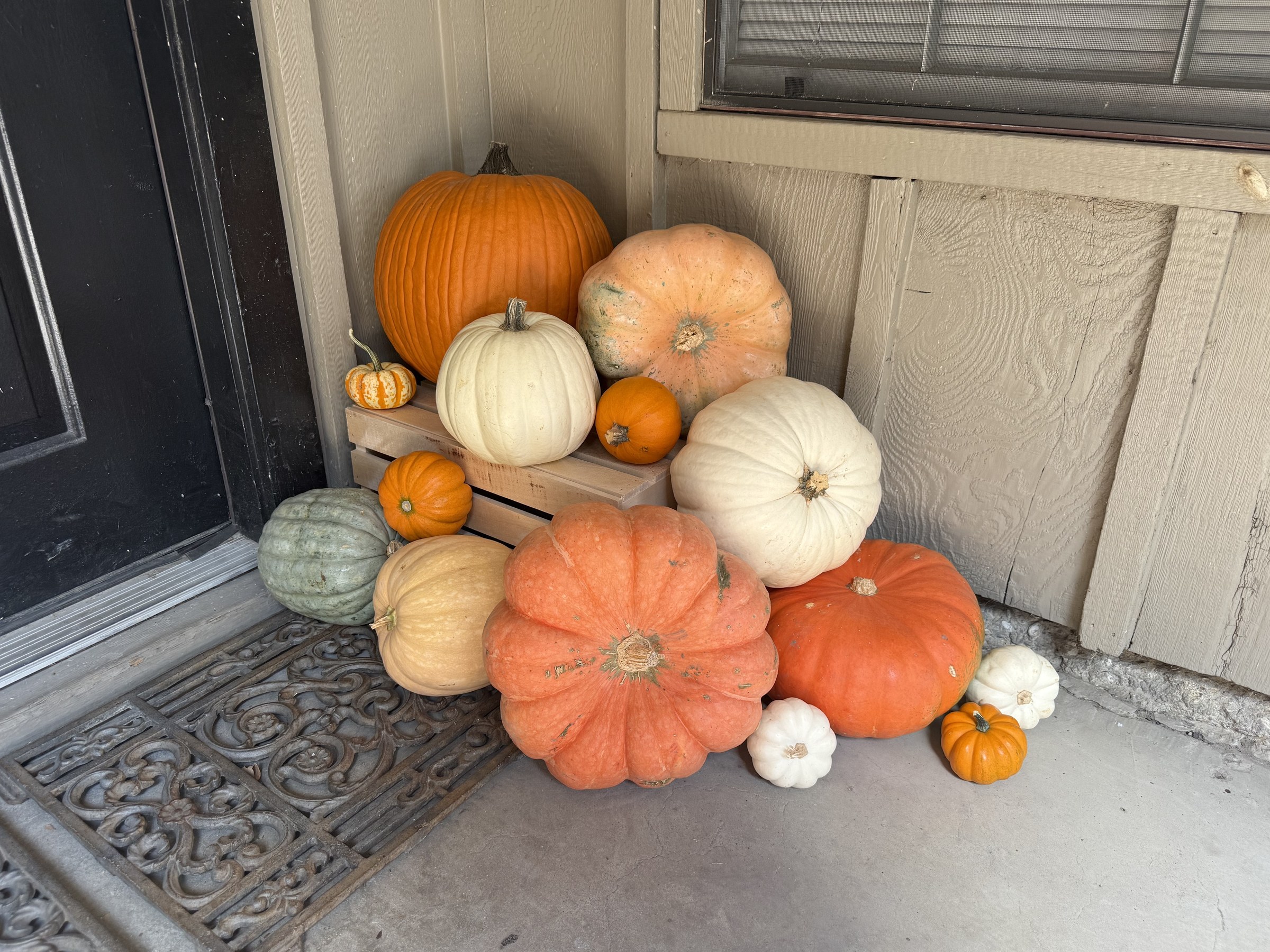 An intimate doorway arrangement of heirloom and traditional pumpkins styled by Fairy Tale Porches